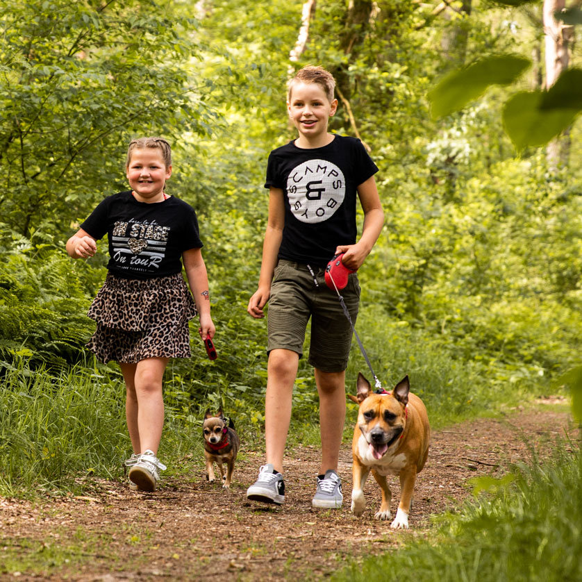 Vakantiepark De Ossenberg activiteiten